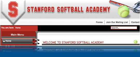 Stanford Softball Academy
