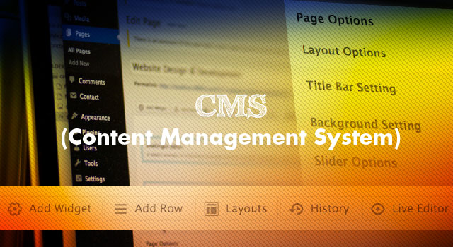 cms-content management system