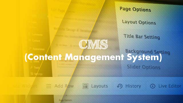 Content Management System, WordPress